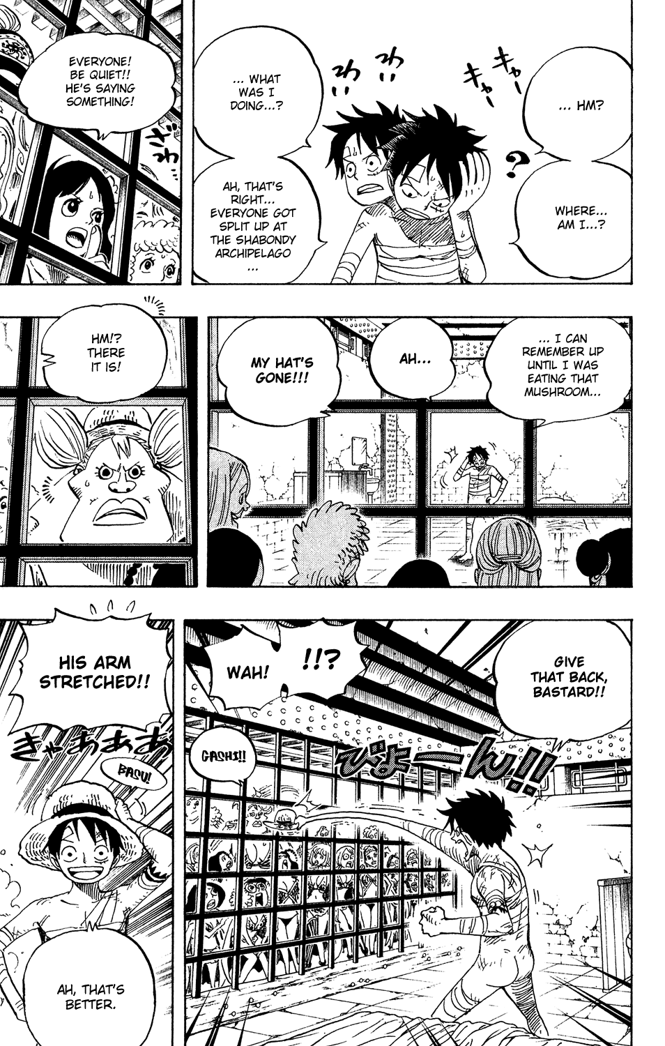 One Piece, Chapter 515 image 06